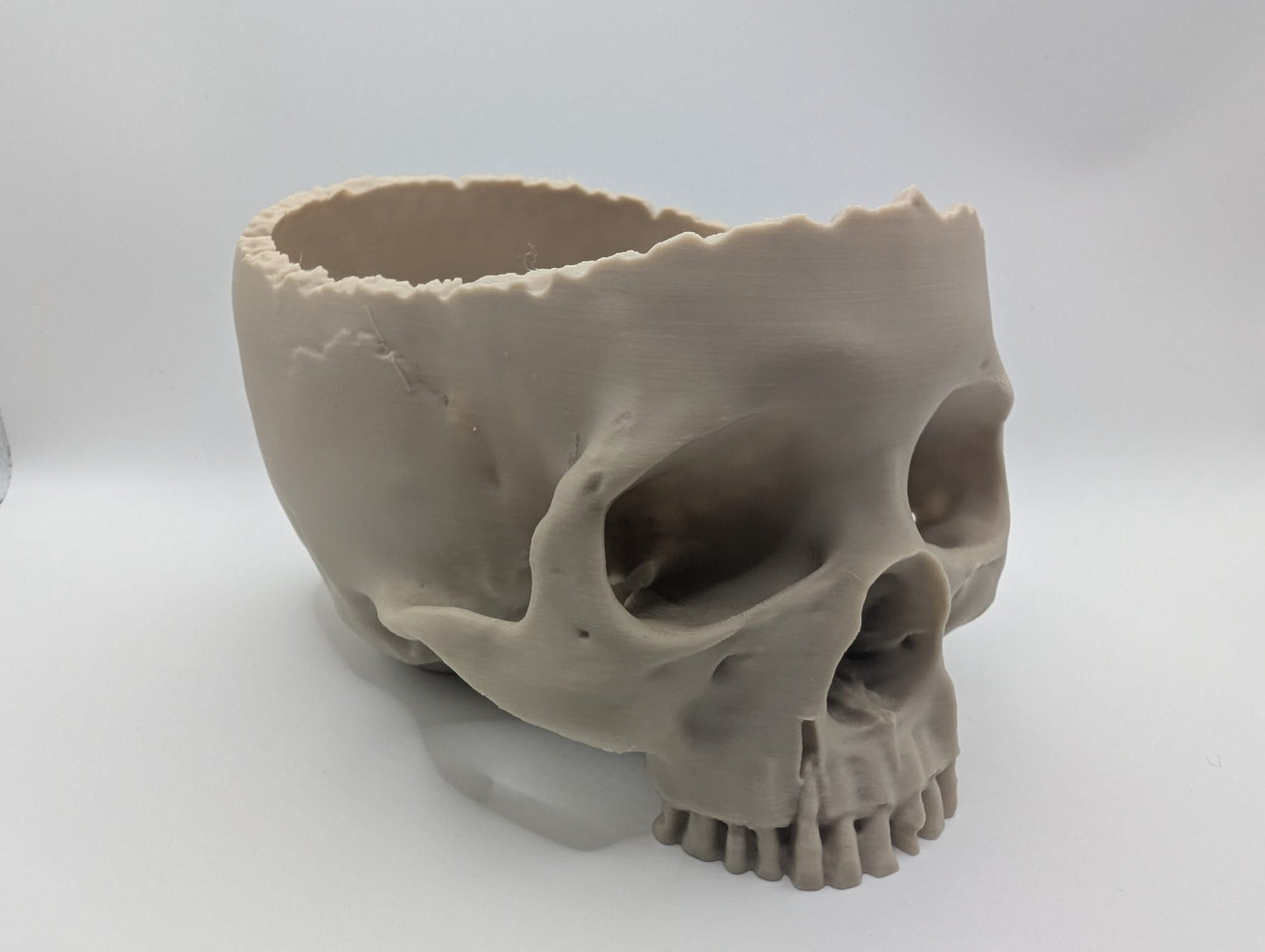 Bob The Momento Mori Offering Bowl