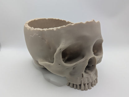 Bob The Momento Mori Offering Bowl