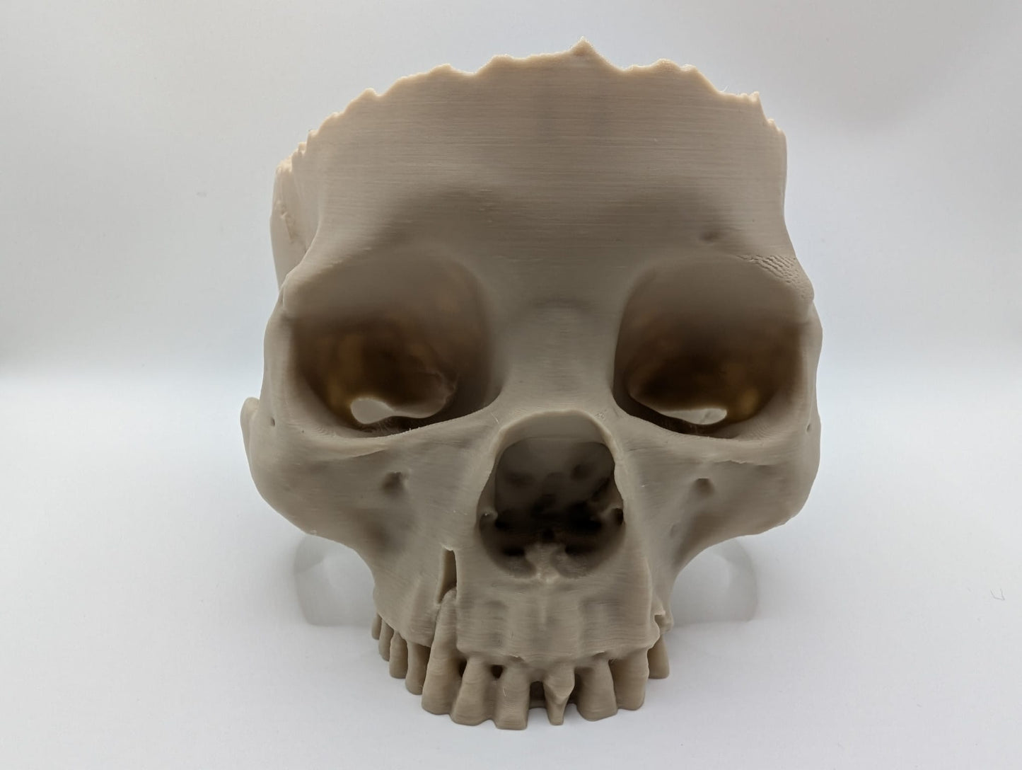 Bob The Momento Mori Offering Bowl