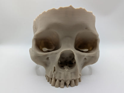 Bob The Momento Mori Offering Bowl
