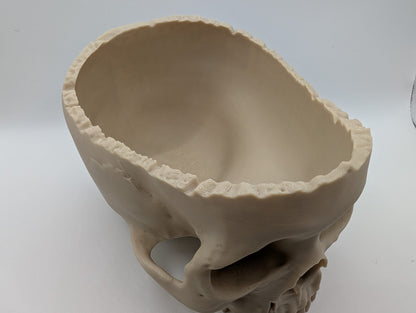 Bob The Momento Mori Offering Bowl